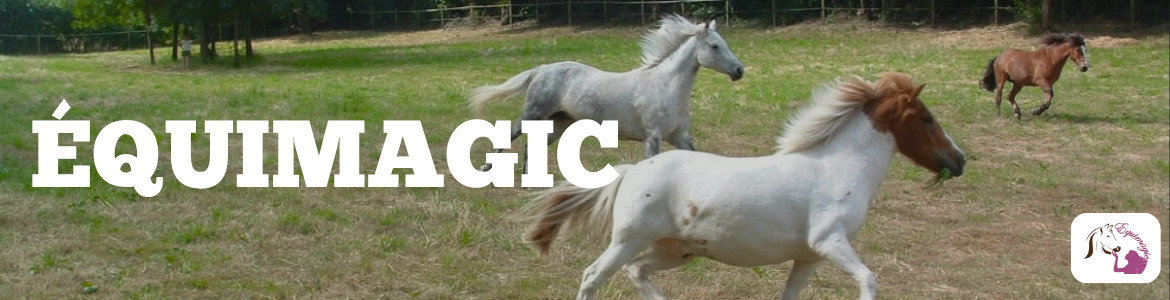 EQUIMAGIC